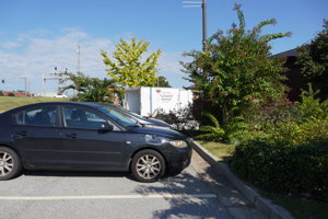 WGHH_Festival2025 (2)