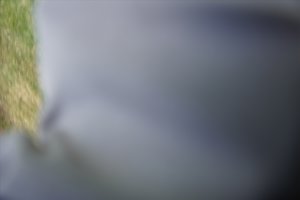 WGHH_Festival2025 (1993)