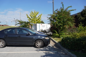 WGHH_Festival2025 (1)