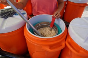 WGHH_Festival2025 (28)